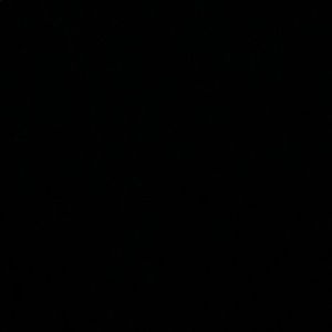 Meet your Posher, Kiley